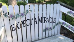 Bench painted with flowers and words Expect a Miracle